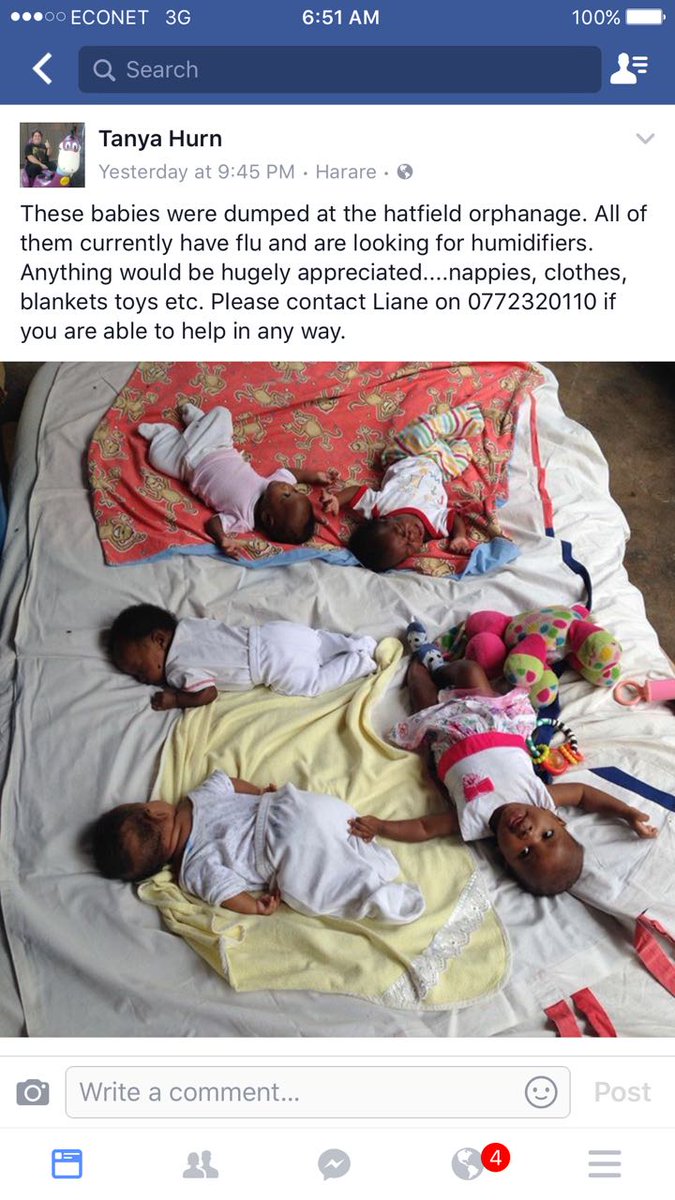 foxie_lee's tweet image. These babies need our help ❤ RT for awareness.