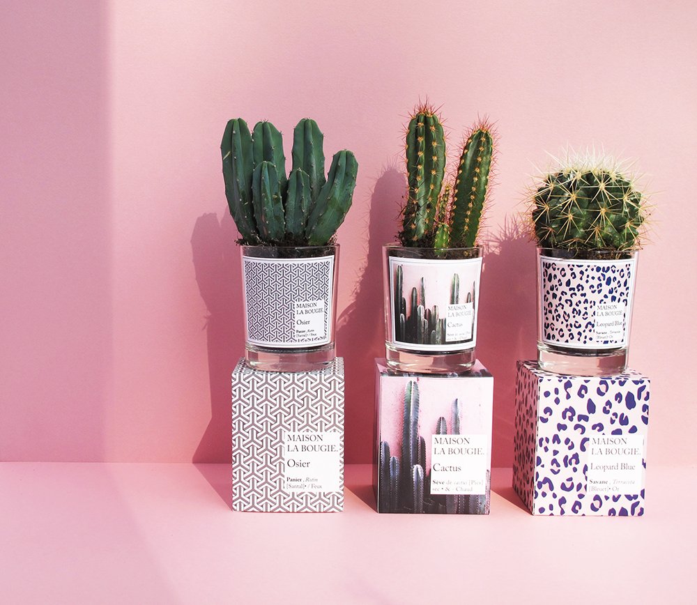 TheGoodConceptStore tweet media