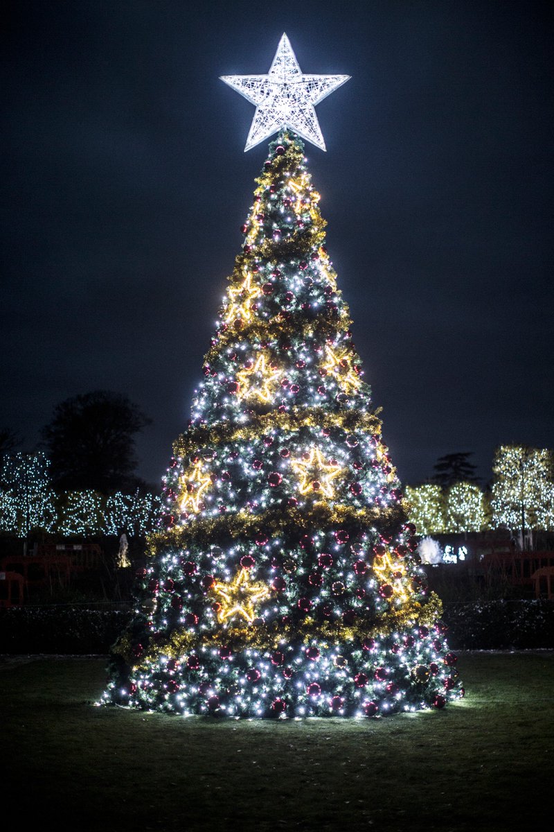 WynyardHall's tweet photo. Have you heard? Our dazzling Christmas Light Show is open!
Book your tickets >>> https://t.co/SprtpZPc18  #northeasthour #Christmas https://t.co/xUBJv3kbkL