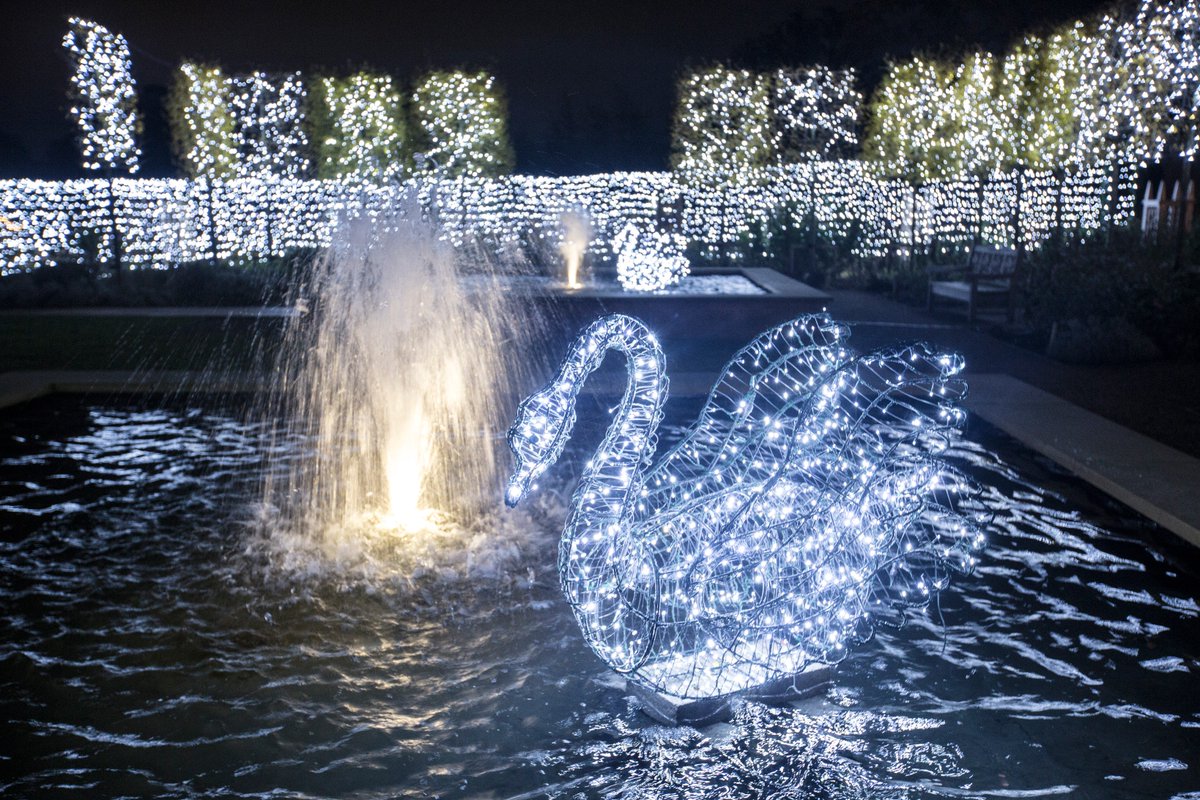 WynyardHall's tweet photo. Have you heard? Our dazzling Christmas Light Show is open!
Book your tickets >>> https://t.co/SprtpZPc18  #northeasthour #Christmas https://t.co/xUBJv3kbkL
