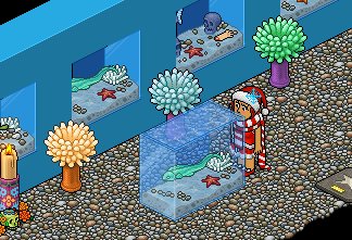mia8xxx's tweet photo. Follow &amp; Retweet to win an Electric Eel Tank 
Ends 9/12 .
.COM only https://t.co/i4ubp0FH9l