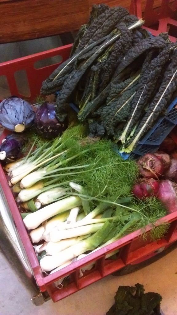 EdibleGarden1's tweet photo. Today's market garden veg to restaurant cafe + canteen inc fennel beetroot leeks kale + red cabbage @RBGEevents https://t.co/TS3fdgjccR