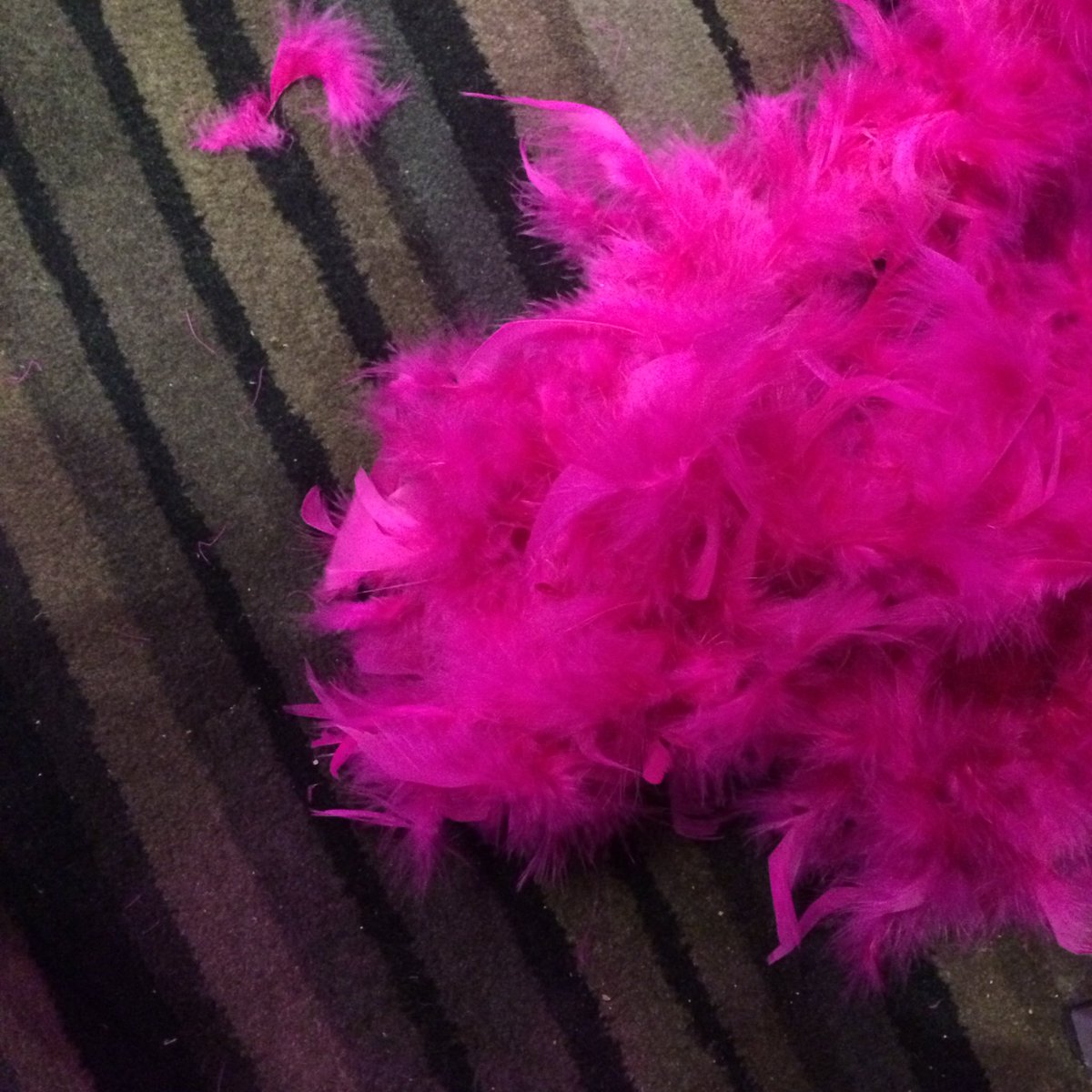 VirtualJoanne's tweet image. Someone killed Ozzie Ostrich 😳 #Ascilite2016