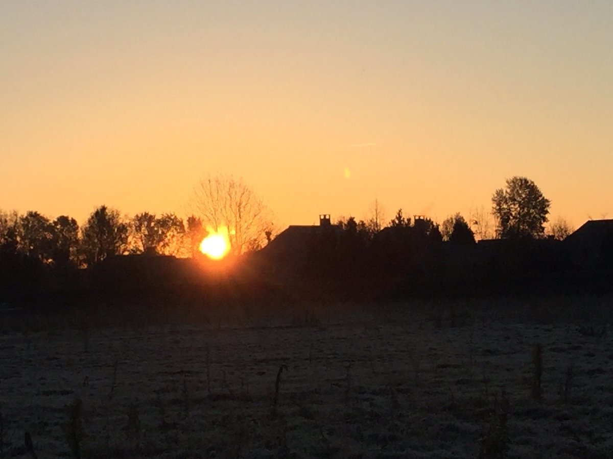 VanStiphoutBouw's tweet photo. 'Zie de zon schijnt door de bomen' op de Rooise Gaard #rooi #bouwen https://t.co/VW5sdKYw27