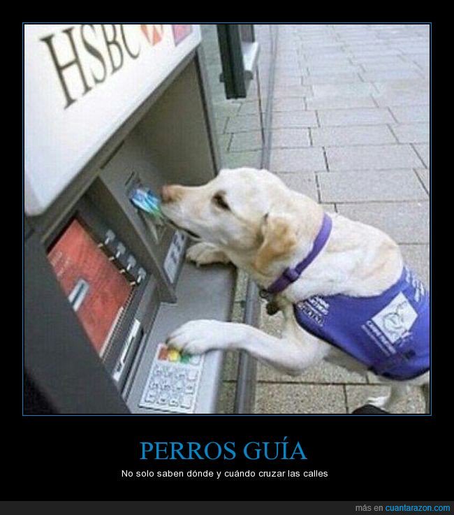 cuantarazon's tweet photo. Míralo qué apañado https://t.co/NUwgUSJ5SZ https://t.co/wRF3qprz7y