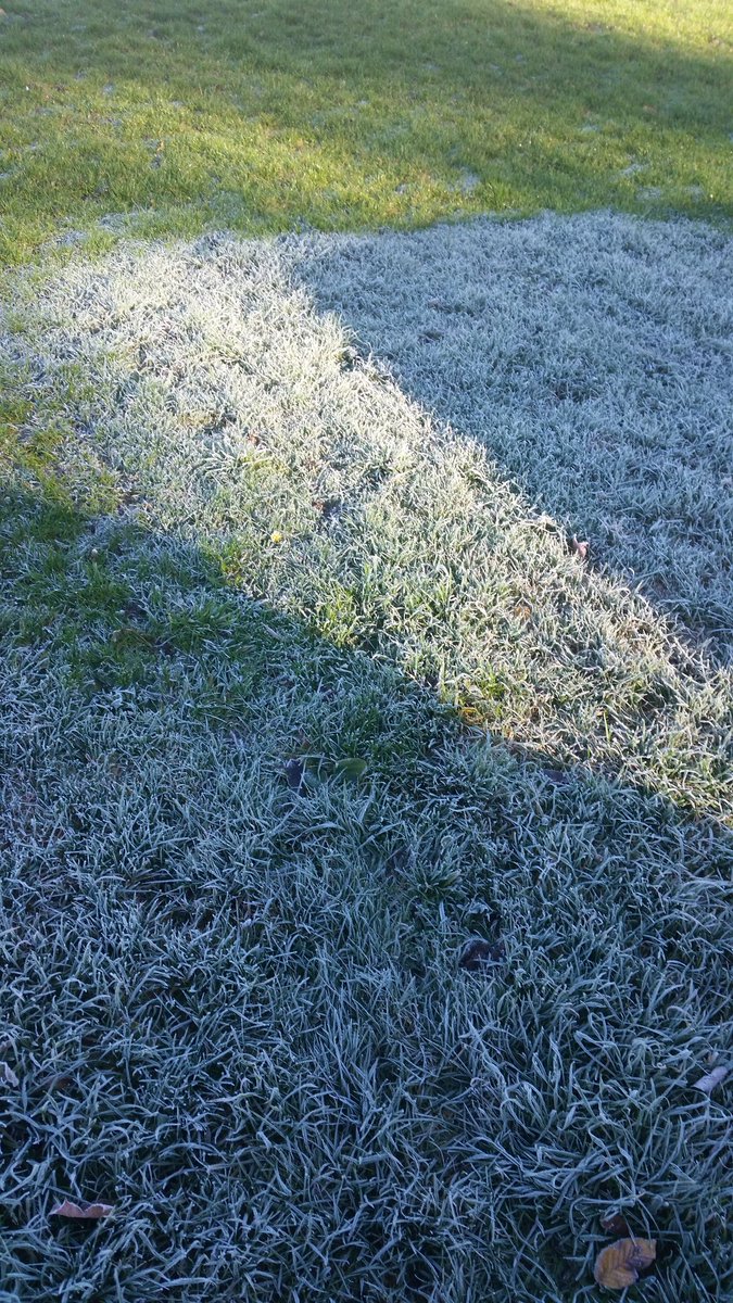 BlueContempArt's tweet photo. Frost!! #needtograbathickercoat https://t.co/JxuHad3wyP