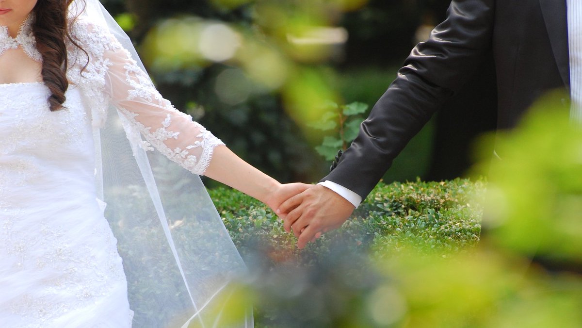 RapidBlueTV's tweet photo. Plan My Wedding secured a R400k investment from @gil_oved &amp;@dawnathan on #SharkTank SA, each receiving a 25% stake. https://t.co/HUEtc8U9nu https://t.co/PVgSD5Uchg