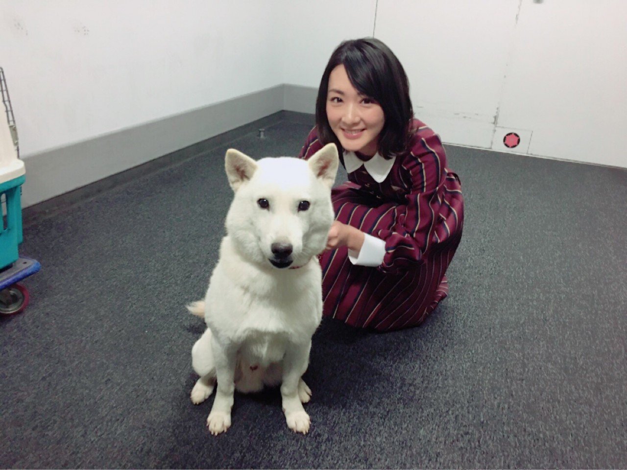 See Mannequin Ikoma S Tweet Twitter