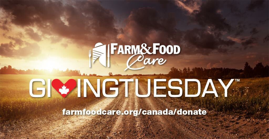 amyemathe's tweet photo. On #GivingTuesday please take a moment to read my post over here:  

https://t.co/TvQkVhQSzX #cdnag #ontag  #farm365 #ffc16 https://t.co/F5FRpdtJvD