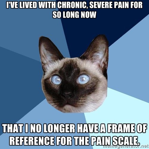 ChronIllCat's tweet photo. I've lived with #chronic, severe #pain for so long now that I no longer have a frame of reference for the #painscale. Your 7 or mine? https://t.co/7ZdOEmD7mS