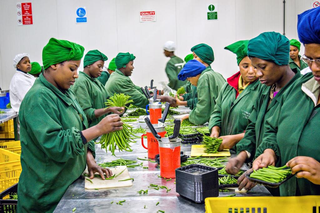 mkundejm's tweet photo. Youth and women employment is what horticulture offers in this country https://t.co/ucDgqdHsld