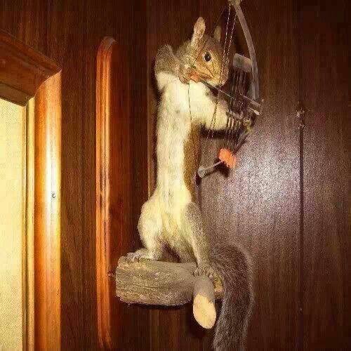 WadeFishsHunts's tweet photo. It's my ole buddy Jeff "squirrel" Kriet up in a tree stand.  Wish him luck today. #hunting #teamcabelas #bassfishing #deerhunting https://t.co/Tohcv0Fwxj
