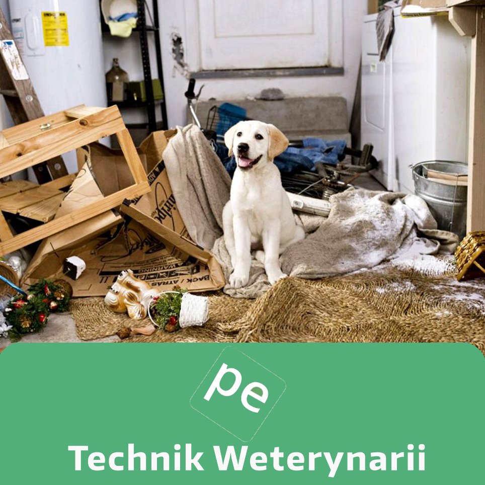 ProfesjaEdu's tweet photo. Czy wiesz, że już po dwóch 2 latach nauki możesz zyskać tytuł #Technika #Weterynarii? :) Czesne wynosi 0 zł ! :o https://t.co/KczG6KrmAp https://t.co/pTYjFmtZCn