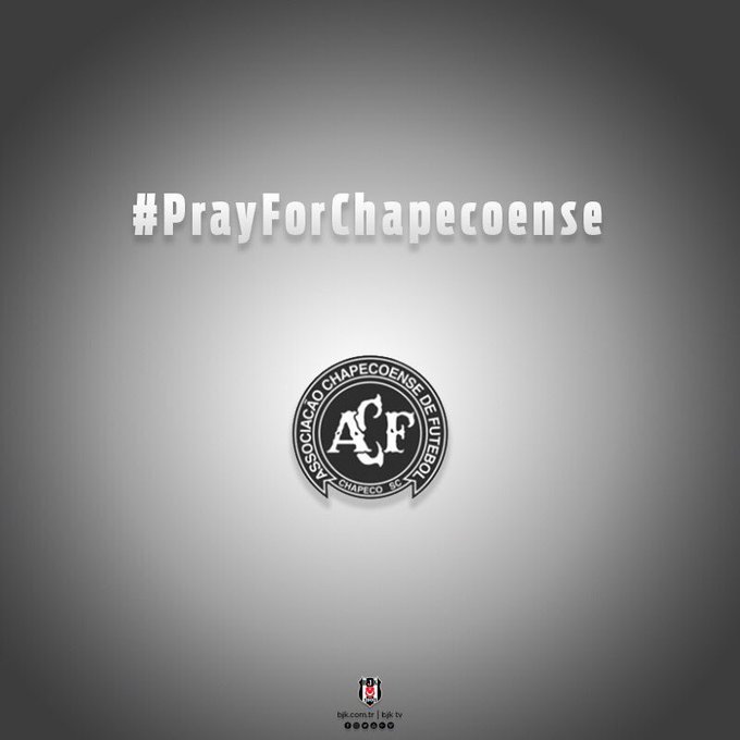 Ver imagem no Twitter