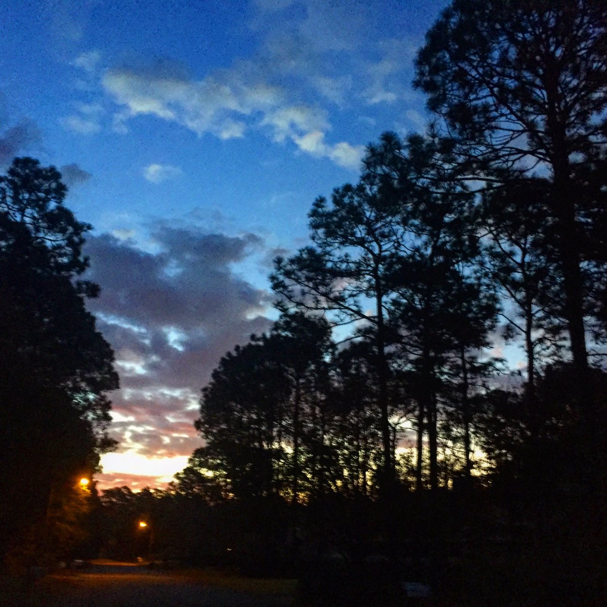 ballrunning's tweet image. | Coastal Sunrise | #rwrunstreak #run #photo 112916 #runningeveryday #runstreak day 2886