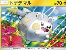 ななし Sur Twitter デデンネ 12月にポケモンカードからトゲデマルスペシャルセットがでるんだって もう素敵なイラストも紹介されてるよ