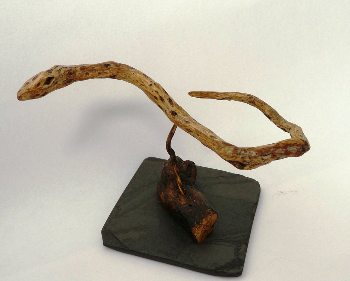 glawpreseli's tweet image. Burnt Gorse sculpture #Preseli #Pembrokeshire