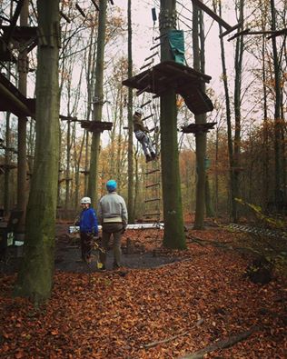 Klimpark Fun Forest tweet media