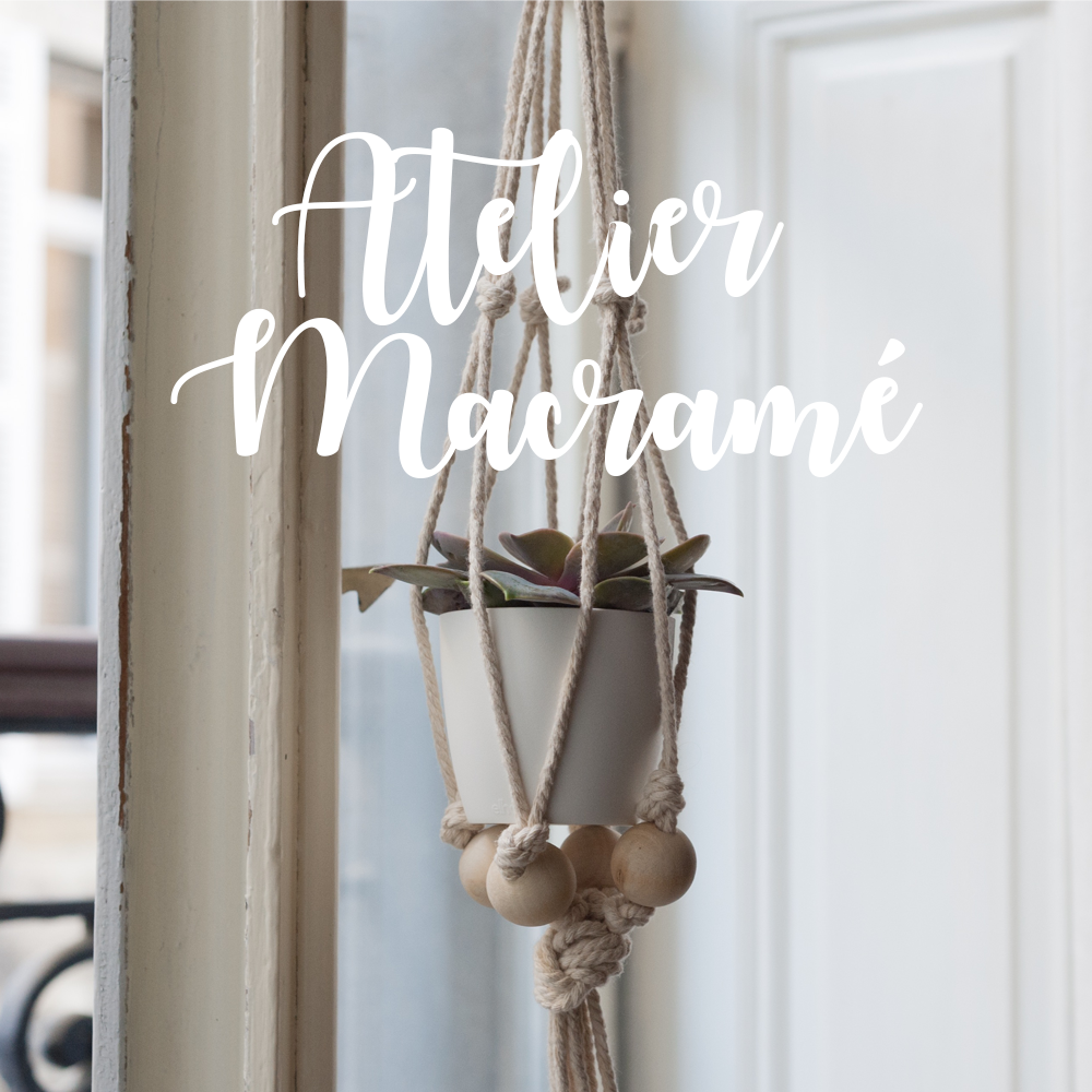 PigsieBdx's tweet photo. 10 Décembre 2016 🗓

https://t.co/fJ8utFdJp9

Réservez votre place pour l'Atelier DIY Suspension Macramé par Cha's Hands et @pigsiebdx ! 💐 https://t.co/quo8DisHee