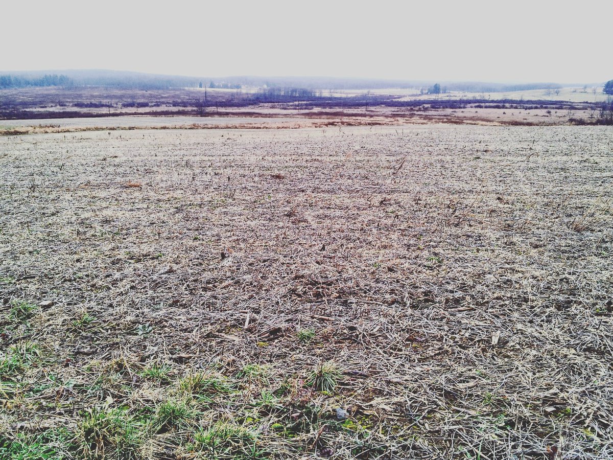 roadtripper72's tweet image. Beautiful