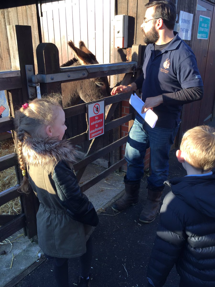 AHPA_MrsW's tweet photo. Children visiting the Donkey Sanctuary https://t.co/kFvxaUTWAq