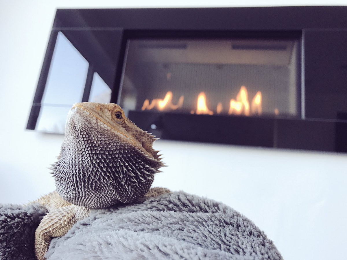 Syndicate's tweet photo. Me and Steeve got bored so we decided to do a photoshoot 😎 https://t.co/cjZFeTWp3C