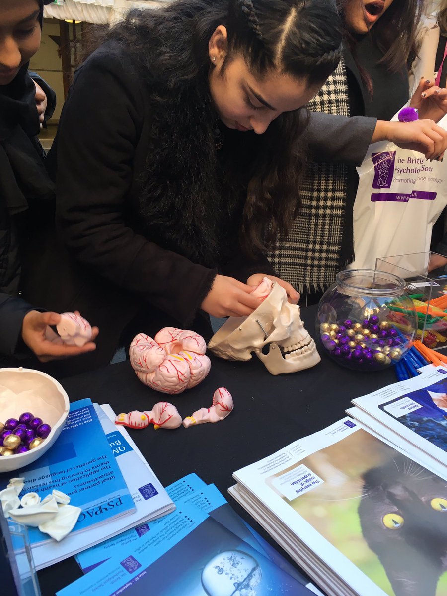 BPSStudent's tweet image. Good luck ladies! Build a brain. #psy4stu #followBPS