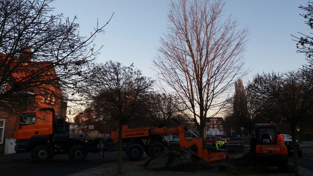 jankoelstra's tweet photo. Vandaag diverse bomen verplanten met #optimal3000 @Gemeente_Almelo project #1 van vandaag. @btlbomendienst https://t.co/YcWsu3rKoQ