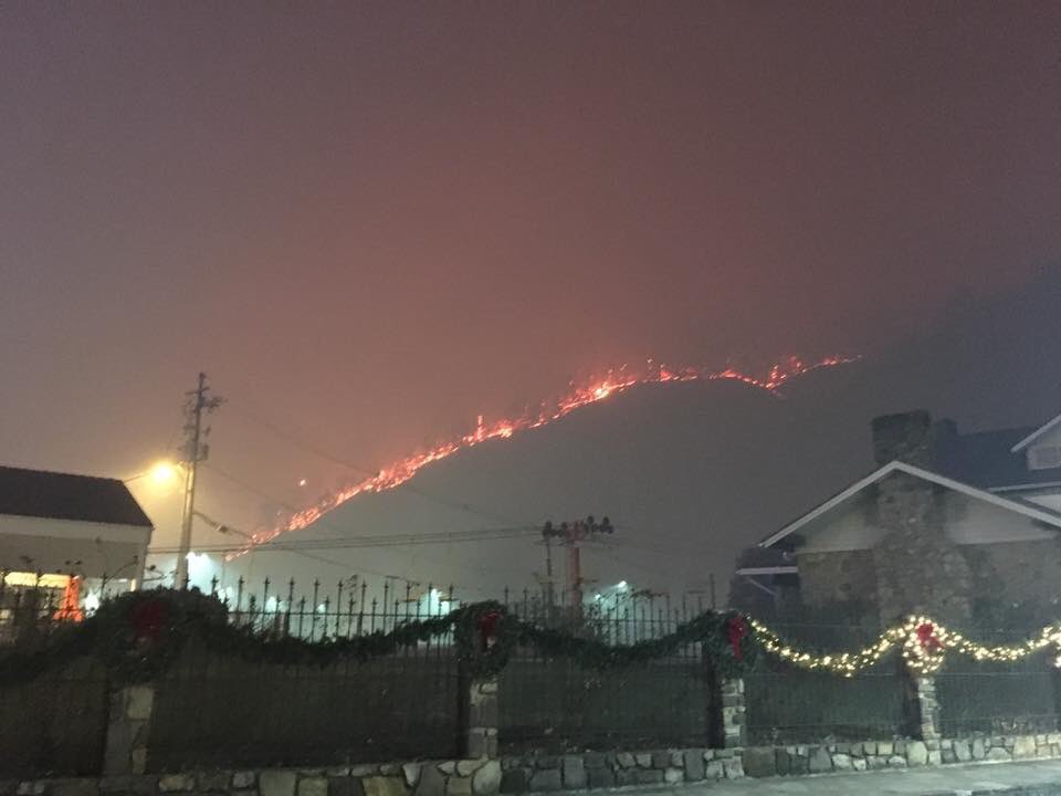 WBIRAbby's tweet photo. This picture taken by the family that owns Buckberry Lodge in #Gatlinburg https://t.co/kbWoL4y1WO