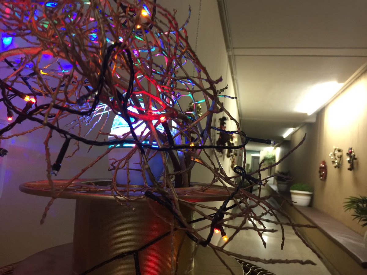 procongoiania's tweet photo. Visite a Galeria Cultura e Cidadania no Procon Goiânia, Av. Tocantins, n°191 - Setor Central, de segunda a sexta das 8 às 18h. https://t.co/AbTJ5KSUIY