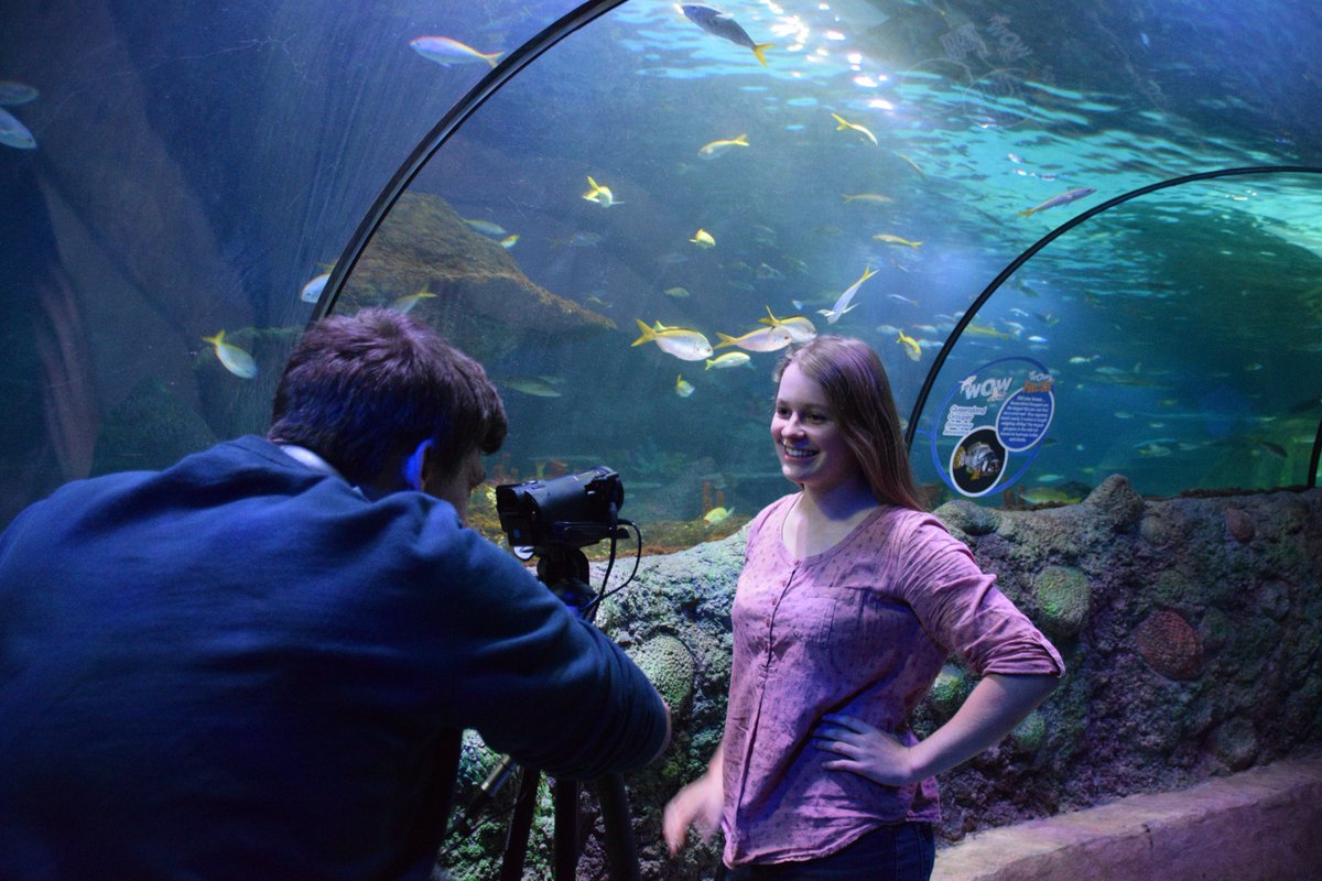 Dig Into Grass tweet media