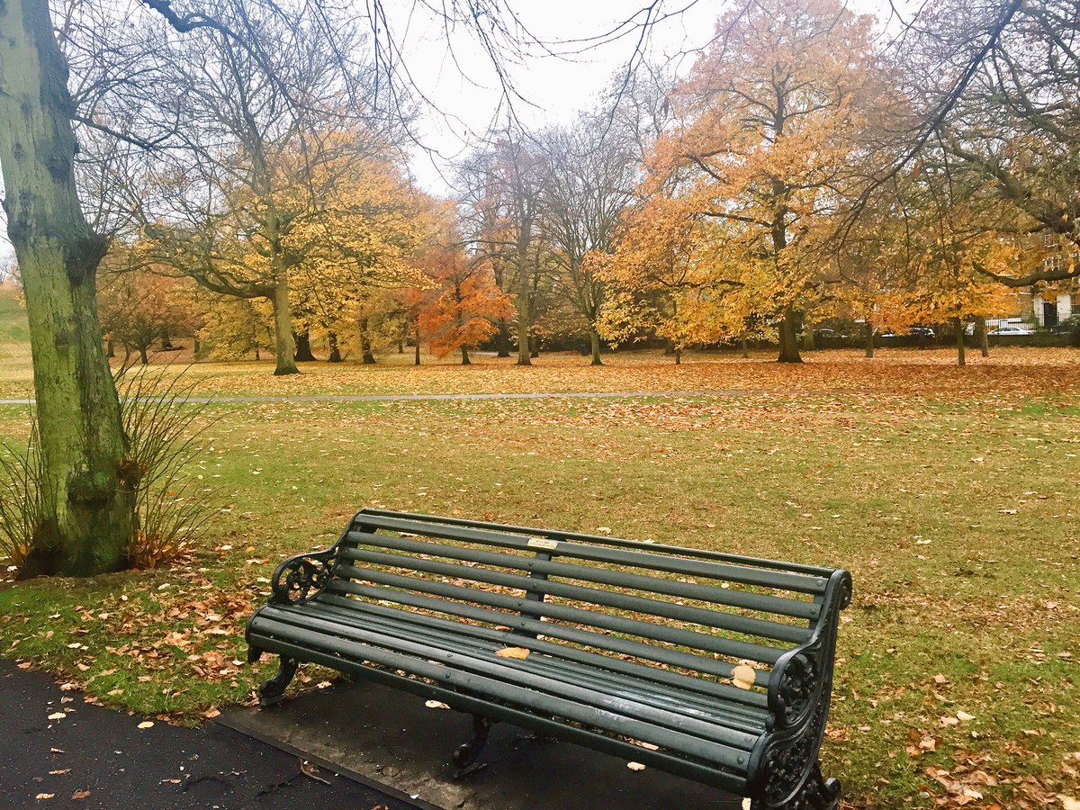 I ❤️Greenwich Park 🇬🇧
Such a 🍁🍂🌳beautiful place for peace &amp; serenity after a hectic few days 🌲🌳🌲🌳