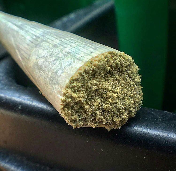 goodapedao's tweet photo. 💚 .. https://t.co/qZdO6vluXk