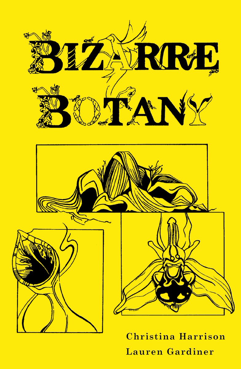 The second book I have illustrated for Kew Publishing is now available to buy. Take a look: shop.kew.org/bizarre-botany