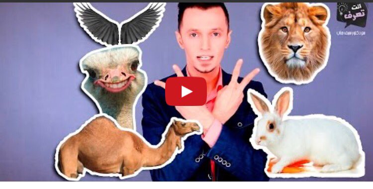 youtube.com/watch?v=tH7LGL…
حيوانات غريبة صنعها البشر تعرف عليها في الرابط