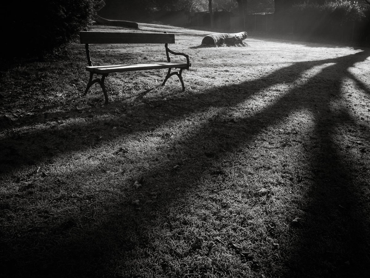 Joscuzz's tweet photo. The morning light in Moseley park today. @capturebrum @BirminghamWeAre #somecities https://t.co/2H7gkcYSi1