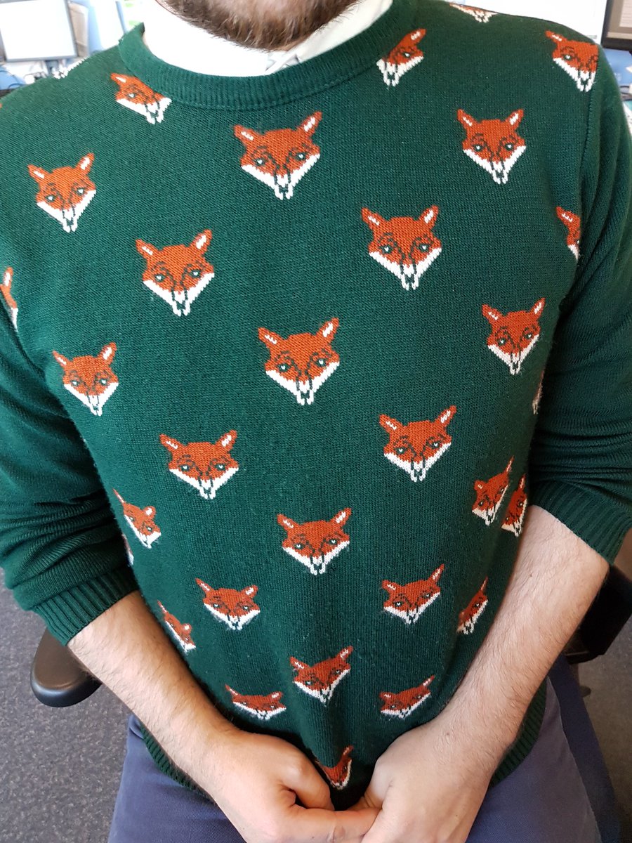 mscspod's tweet photo. @DrBrianMay my mates foxy jumper https://t.co/e04KwcUxYY