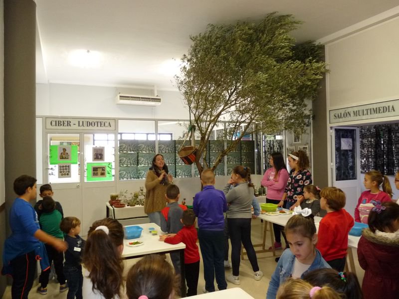 CELEBRADO UN TALLER DE ALIÑO DE ACEITUNA A LOS MIEMBROS MAS PEQUEÑOS DEL CSDS JUAN VELASCO.
 fundacionaceituna.com/opencms/opencm…
