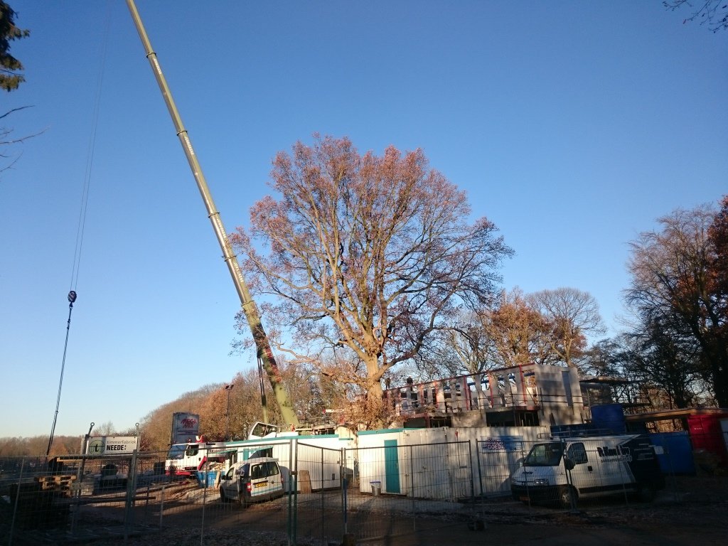 Coppens_BM's tweet photo. Dagbestedingsgebouw in Nijmegen richting hoogste punt (team Aannemersbedrijf P. Kaal BV, @RTP_Druten, Megens Installaties) #bouwenaandezorg https://t.co/aFuzPf8Pap