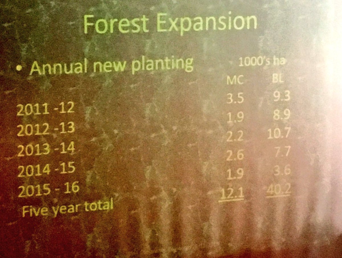 renewablesjohn's tweet photo. Lots of expensive deer food being planted rather than #commercial forestry @forestsandwood #WHAC2016 https://t.co/qoLt0ya2cu