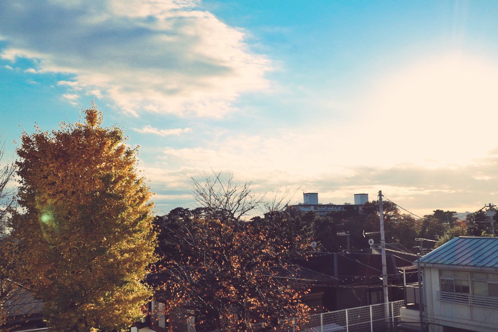 sorairoanzu's tweet photo. #写真好きな人と繋がりたい 
#ファインダー越しの私の世界 
#空
#雲
#canoneosm10 https://t.co/zaYbu7iSI3