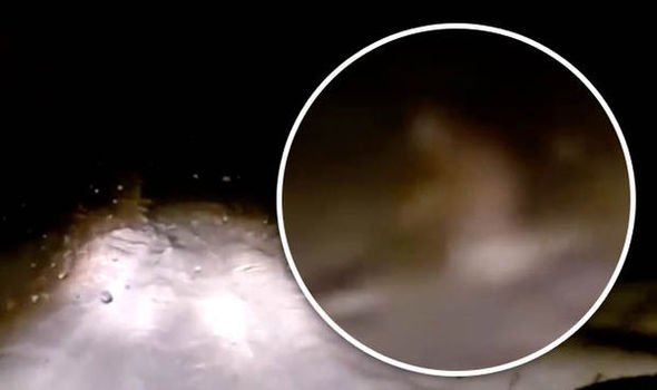 squatchism's tweet photo. #YETI found? Bizarre footage shows #abominablesnowman dashing across mountain|visit->https://t.co/3ZaVxcTAxV @Squatchism #bigfoot #sasquatch https://t.co/WhLq2sVcu1