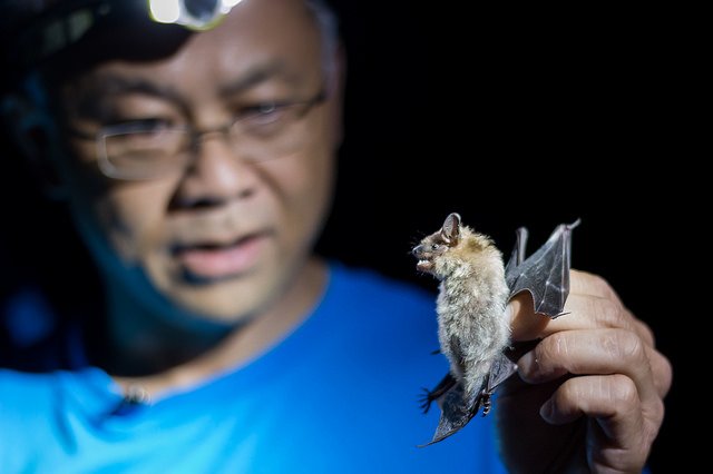 ROMtoronto's tweet photo. In this #ROMcast we talk to @BurtonLim about his work in remote places around the globe! https://t.co/zjRgR4rS4L https://t.co/xioCnybJf4