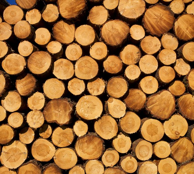 HomeEnergyCon's tweet photo. These logs should conjure up images of #fire, #warmth &amp; marshmellows. If not, you need a #fireplace! #homeimprovement #smores #stoveretailer https://t.co/UURp4MMBtk
