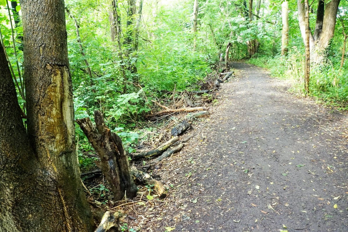 A big congratulations to Friends of Woodheys Park who've received funding from Tesco’s #BagsofHelp to improve the park!! @Tesco_North