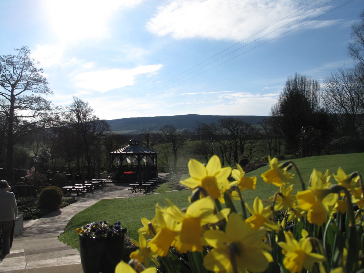 Gibbon Bridge Hotel & Restaurant tweet media