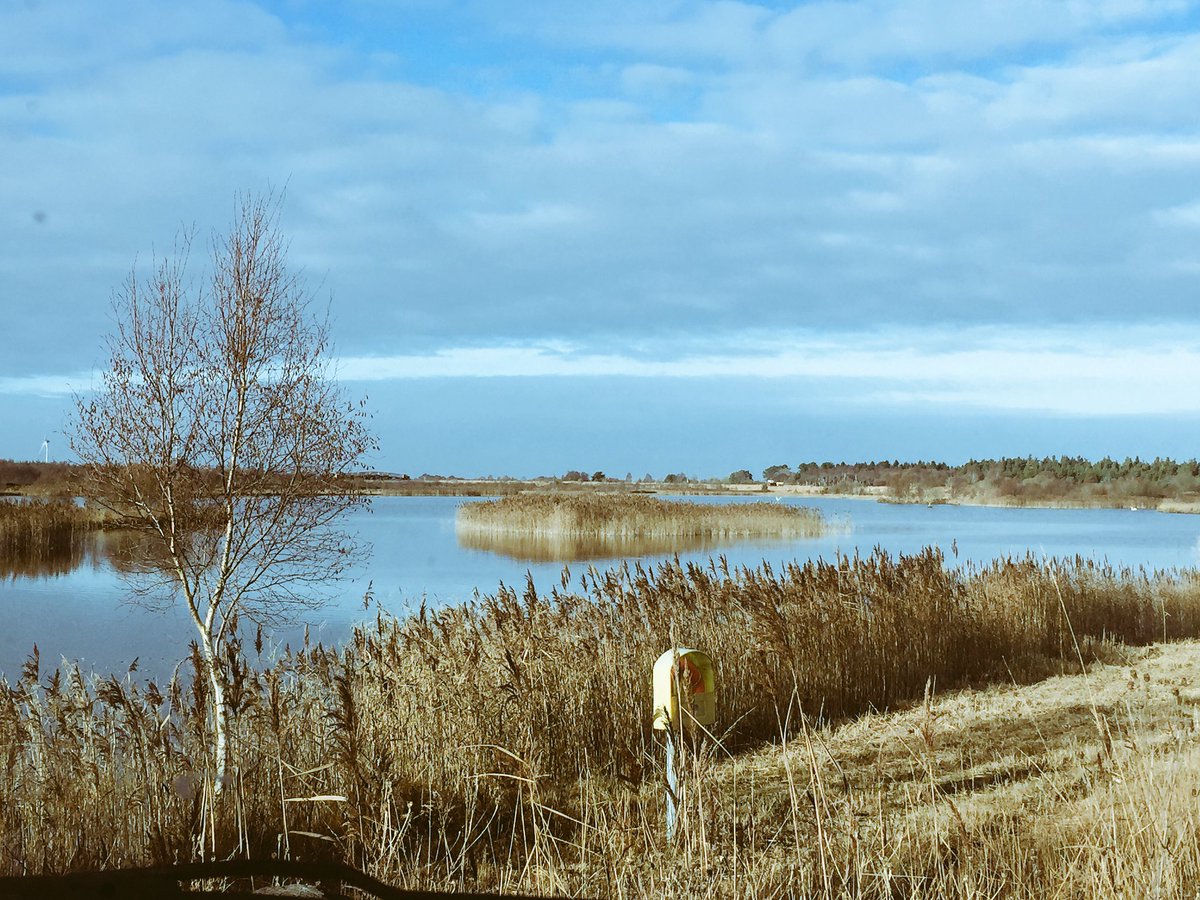 tammybtweets's tweet photo. #MagicalMidlands 🎥🎥@LoughBooraPark https://t.co/rMKdhR8WKS