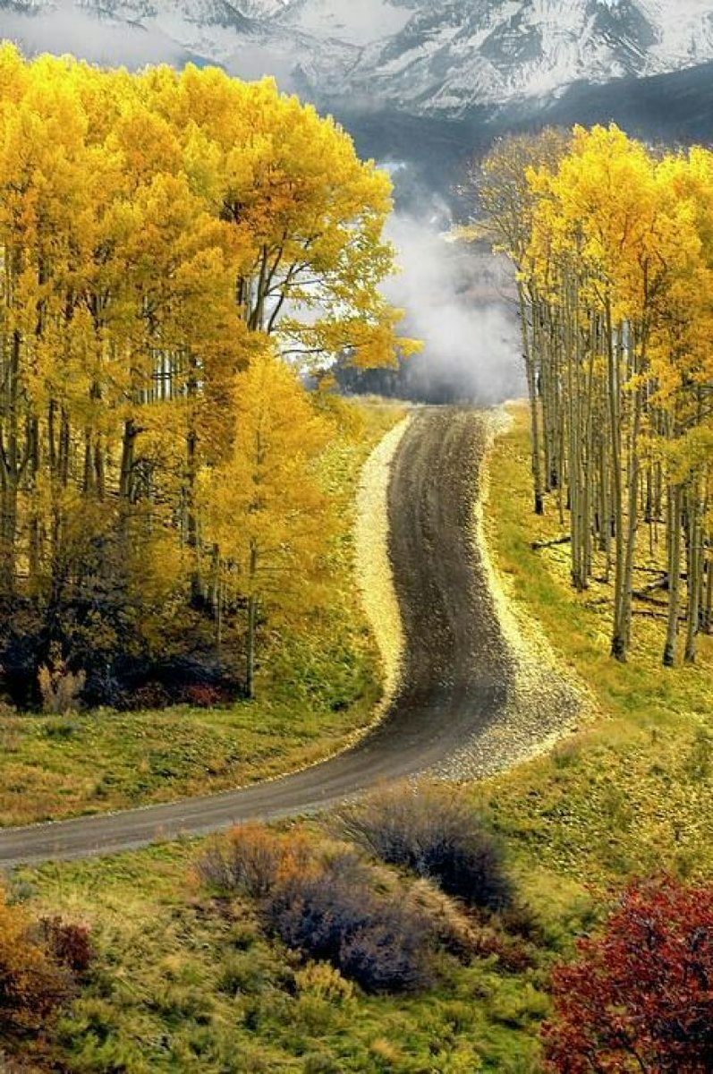 L515GP's tweet photo. #AspenRoad, #Boulder, #Colorado. https://t.co/VmcOzV9aZv