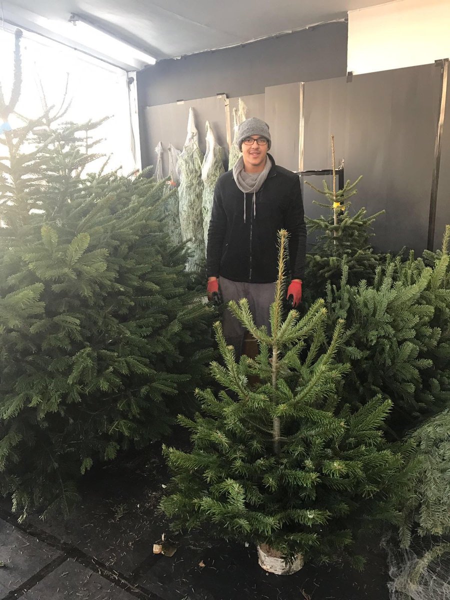 tootingnewsie's tweet image. For a chance to #Win a Christmas Tree, worth up to £40 @sw17Premiertree #Tooting, please RT by 2/12/16 T&amp;amp;C's apply bit.ly/29owSxg