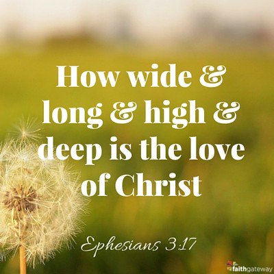 CovenantCraft's tweet image. 